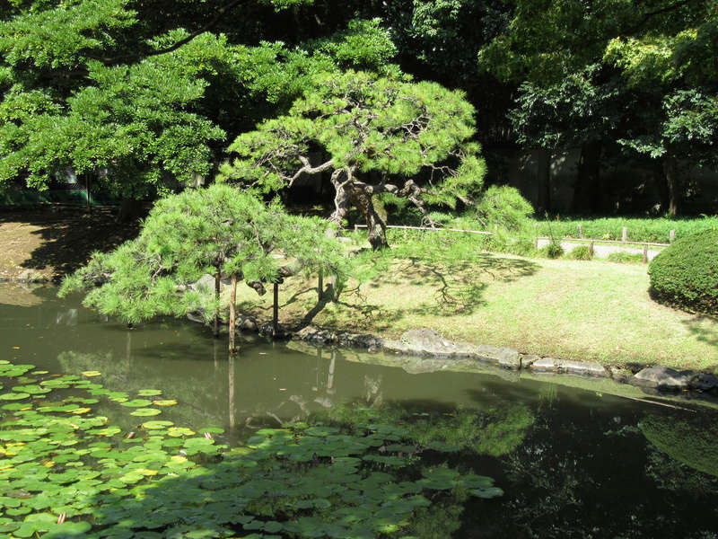 Voyage au Japon : enfin le jour 10 [page 6] Japon248