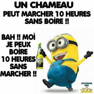 Humour sur tout ... - Page 26 Fba1d010