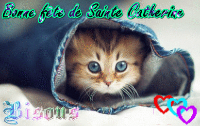 Bonne Fete De Sainte Catherine