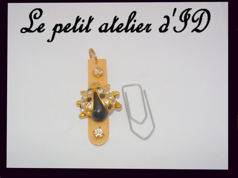 Pendentifs, bijoux de sacs, portables, médailles chiens/chats ... créés avec des bâtonnets de glace 6_210