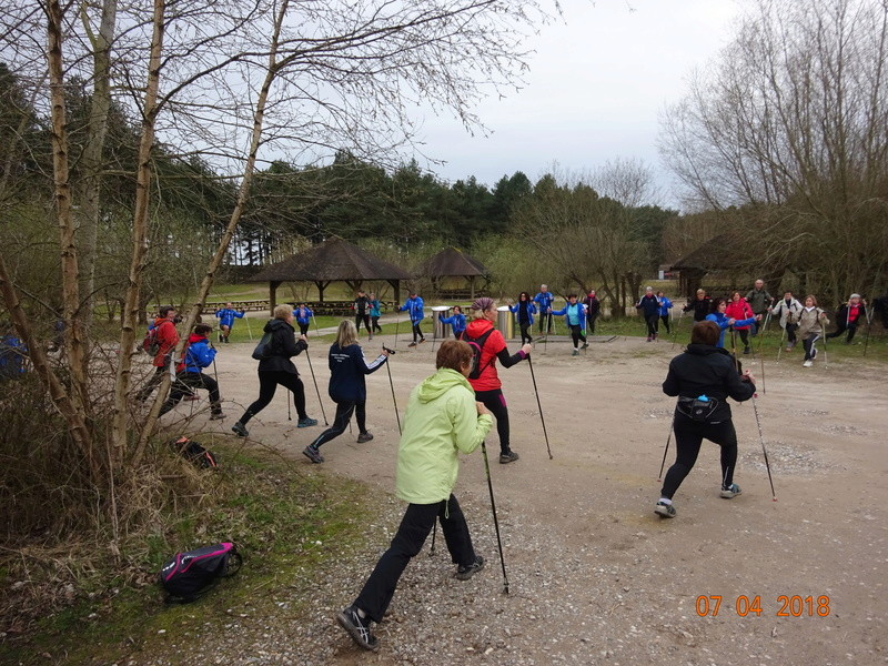 Marquenterre en photos 00510