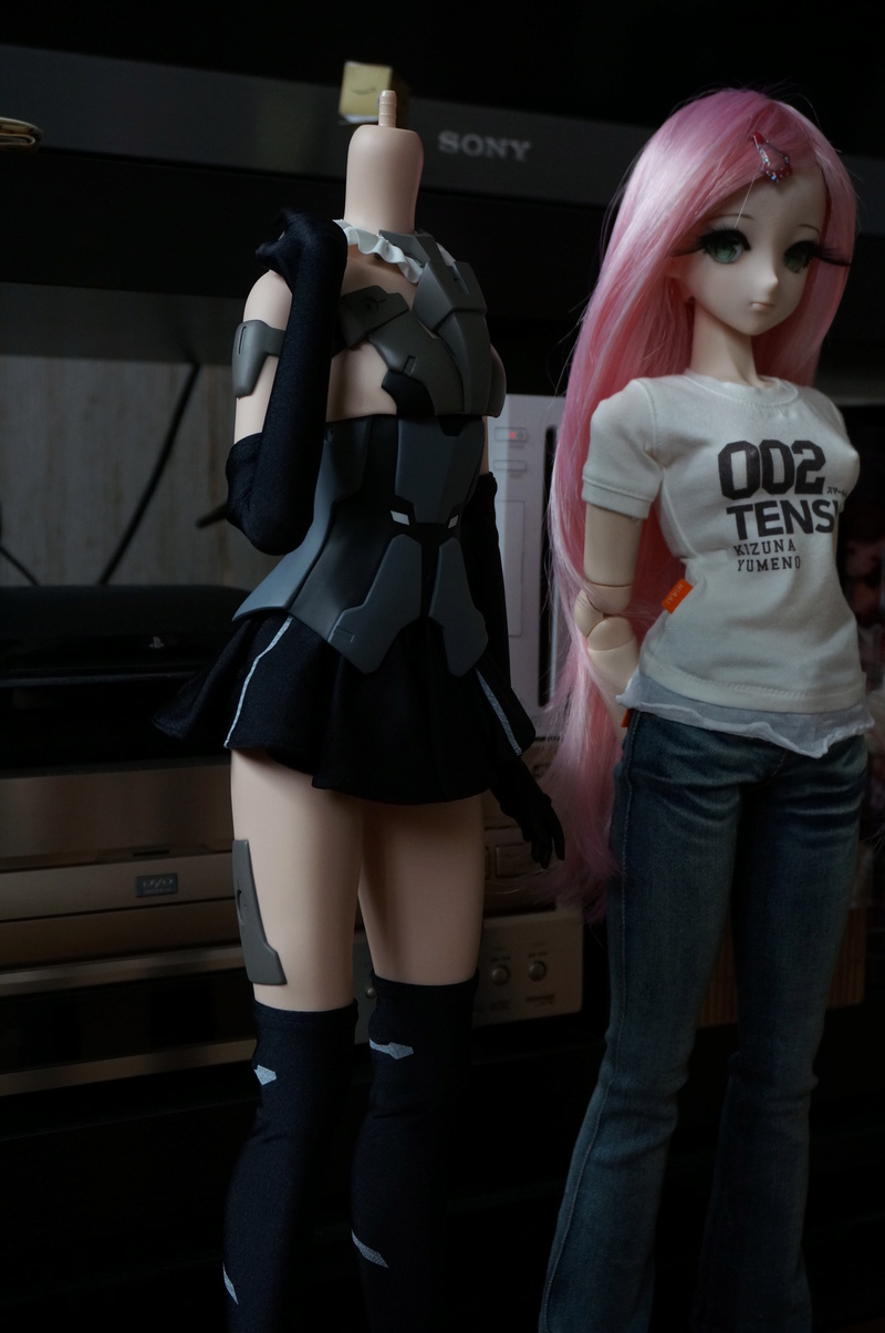 [Smart Doll] Frame Arms Girl - Gourai - Page 3 Dsc09625