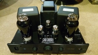 Caryaudio CAD-300Sei Integrated Amp ( Sold ) Img_2038