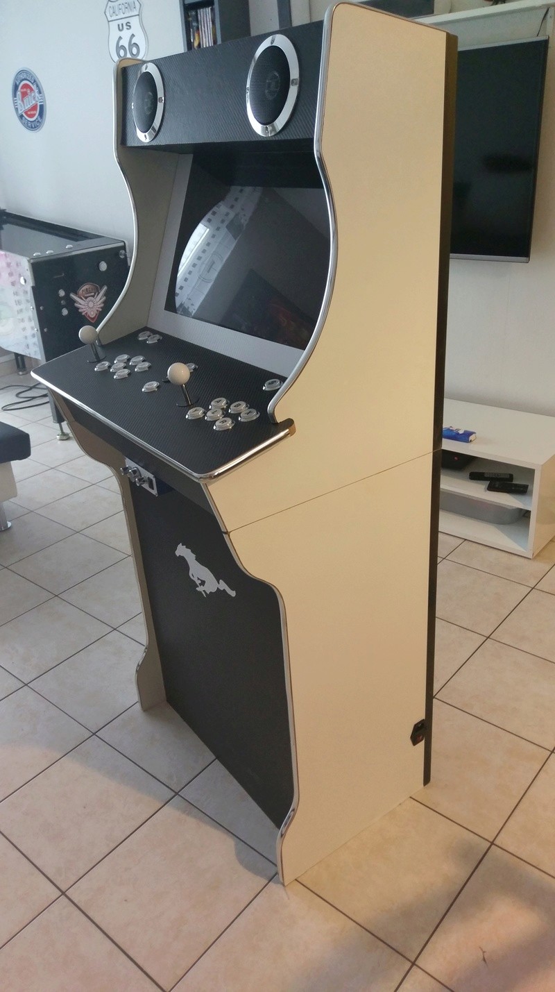 [WIP] borne arcade 2 joueurs carbone noir et blanc Imag0513