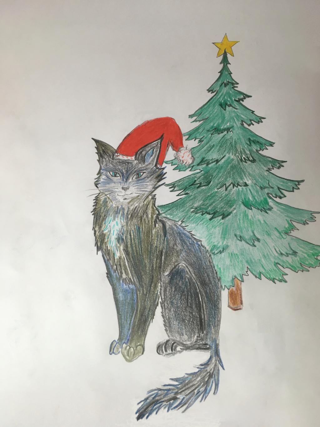 Secret Santa, c'est l'heure des cadeaux !! Chat10