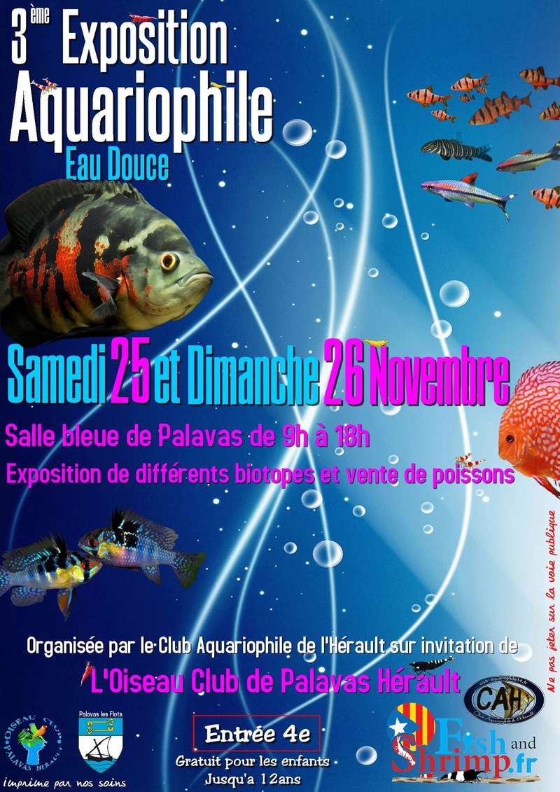 [34] 3ième bourse aux poissons de PALAVAS : 26 - 27 nov 2017 Palava10