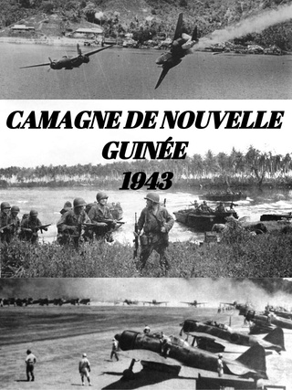 [Présentation] Campagne de Nouvelle Guinée  Cg194312
