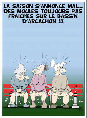 Scarica Gratis Images Humour Page 39 dernière salutations