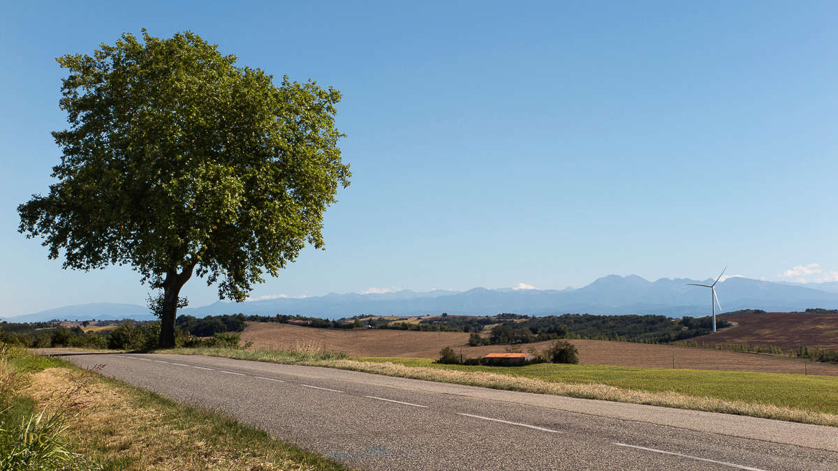 Séjour dans le Lauragais (août 2017) Laura011