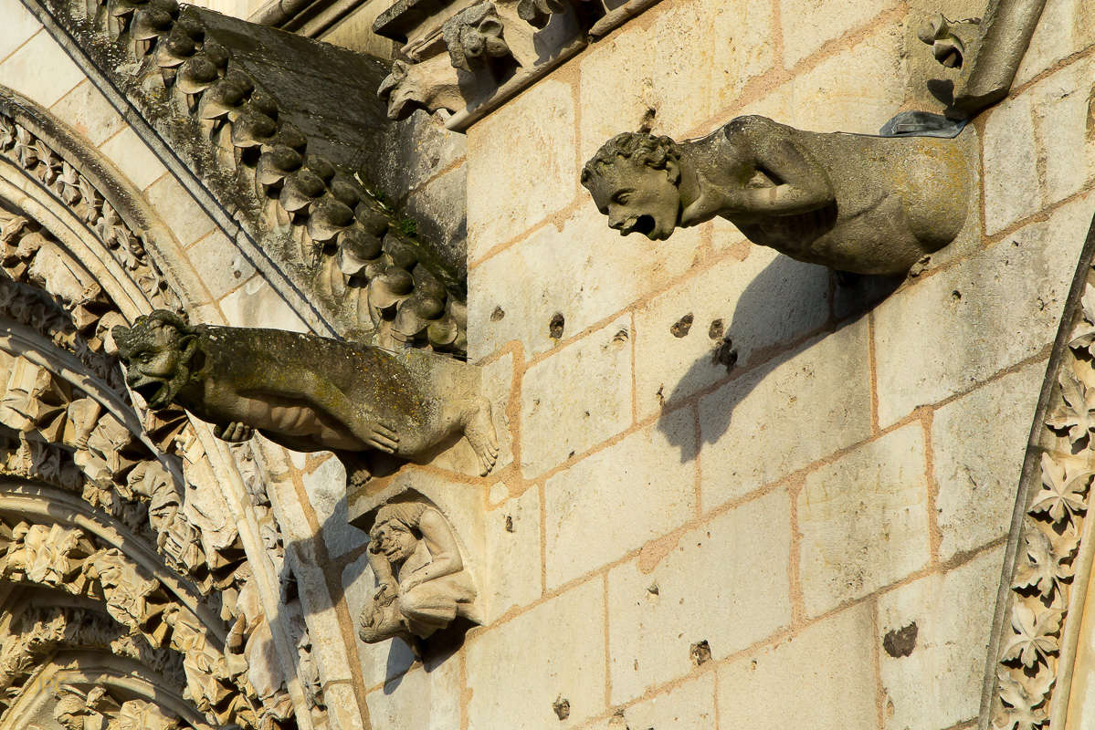 Poitiers : visite du 10 et 11 mar 2017 Poit0610