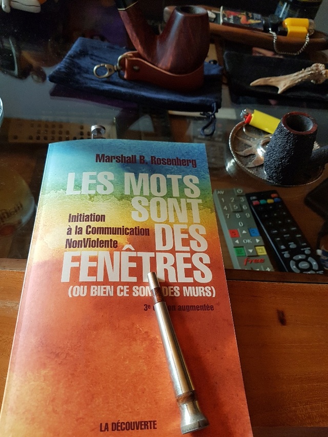 Vos lectures au quotidien.... - Page 21 20180511