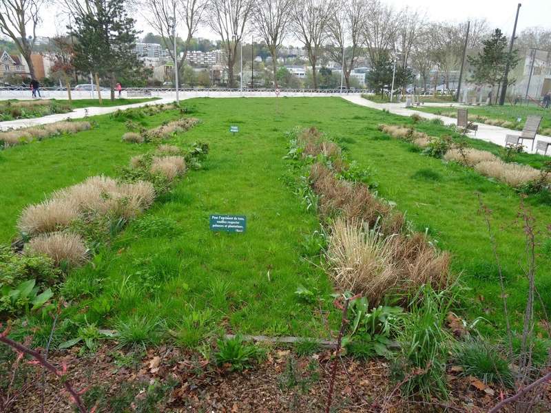 Parc de Billancourt - Partie Est Dsc06912