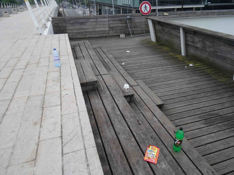 Déchets sur les ponts de l'île Seguin Dsc07654