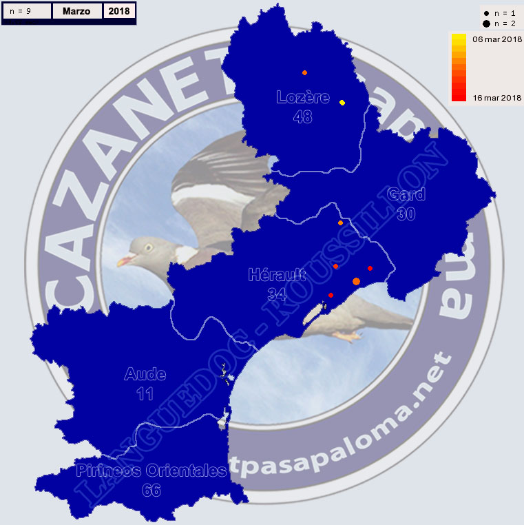 Migración Becadas en Languedoc-Roussignol durante Enero, Febrero y Marzo Becada36