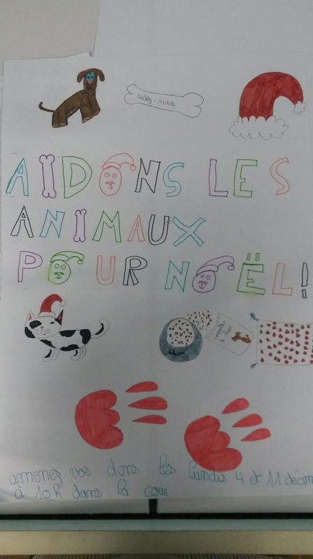 6è DD Projet Aidons les animaux pour Noël 20171118