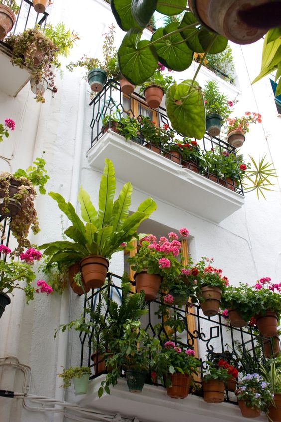 Jardin de Balcon... 7a679810