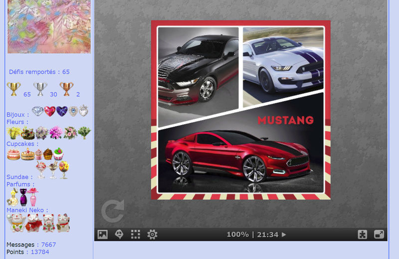 Puzzle #070 / Mustang Collection Mimo137