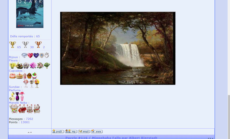 Puzzle #116 / Minnehaha Falls par Albert Bierstadt Mimo15