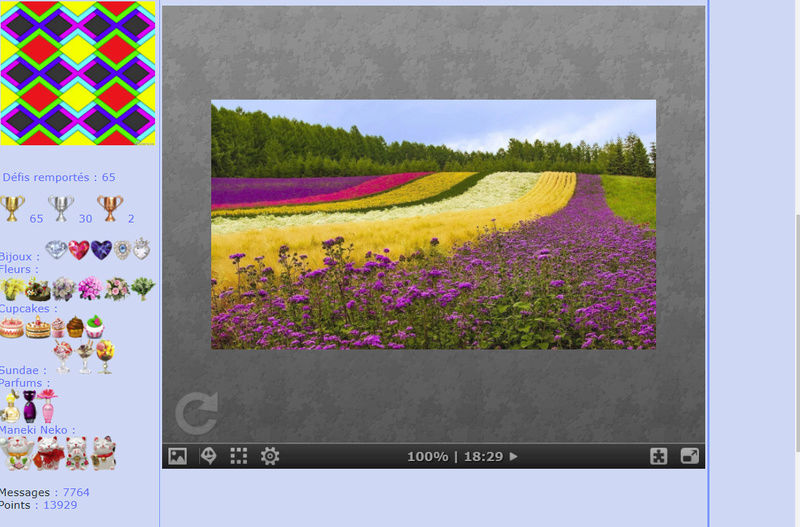 Puzzle #0312 / Field flowers Mimo231