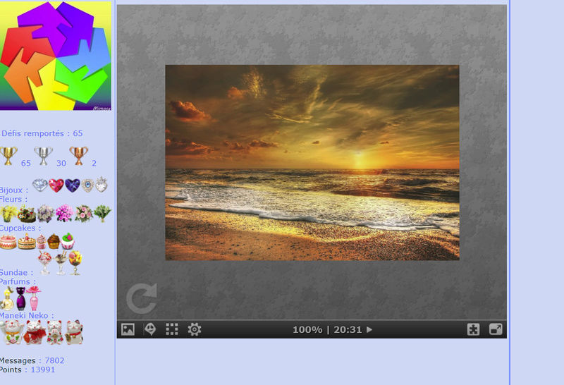 Puzzle #0317 / Sunset on the beach Mimo252