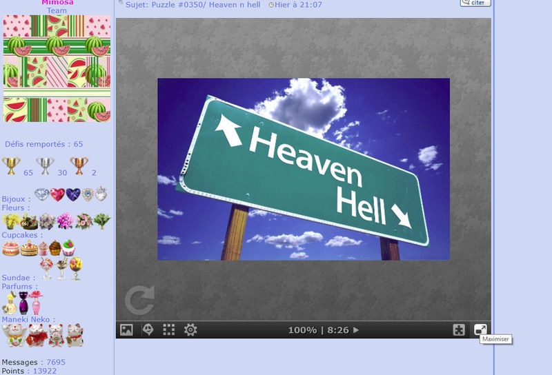 Puzzle #0350/ Heaven n hell Mimo289