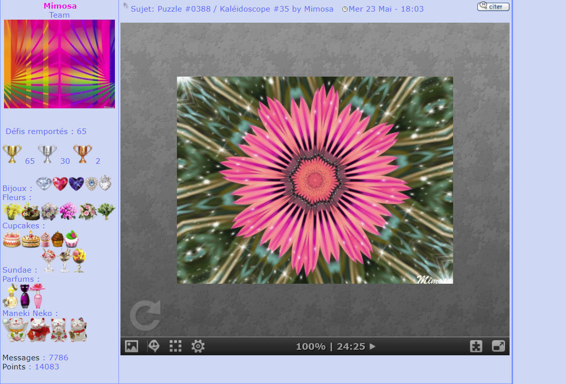 Puzzle #0388 / Kaléidoscope #35 by Mimosa Mimo339