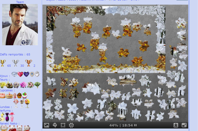 Puzzle #0180 / Autumn in winter! Mimo89