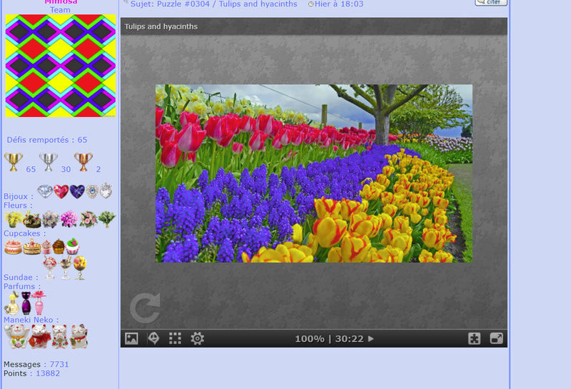 Puzzle #0304 / Tulips and hyacinths  Puzzl272