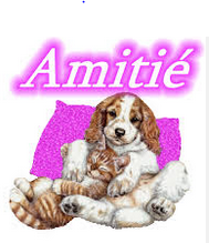  Annie et ses minous dans Les Jardins de Matoune  - Page 8 Amitiy10