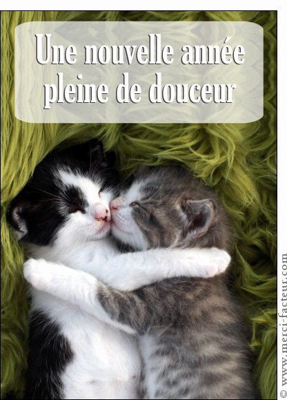 aide factures vétérinaire pour pattesdechats - Page 4 2976-u10