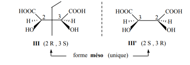 Méso et érythro Forme_10