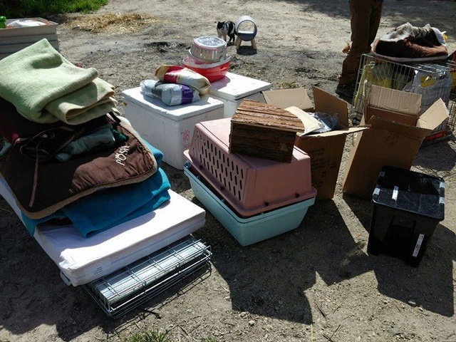 1 pallet voor de dieren van La Pepa 1024