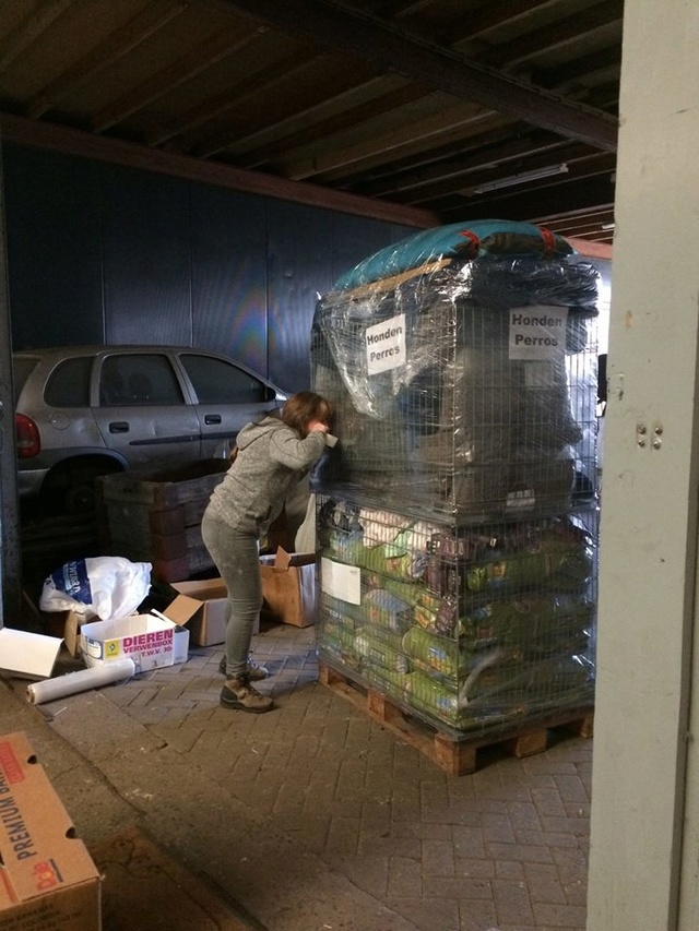 21 jan. - 4 pallets opgebouwd 1712
