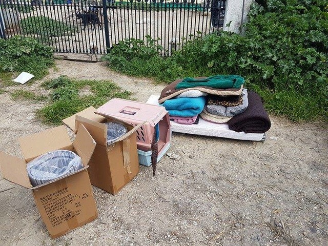 1 pallet voor de dieren van La Pepa 435