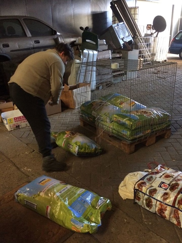 21 jan. - 4 pallets opgebouwd 620