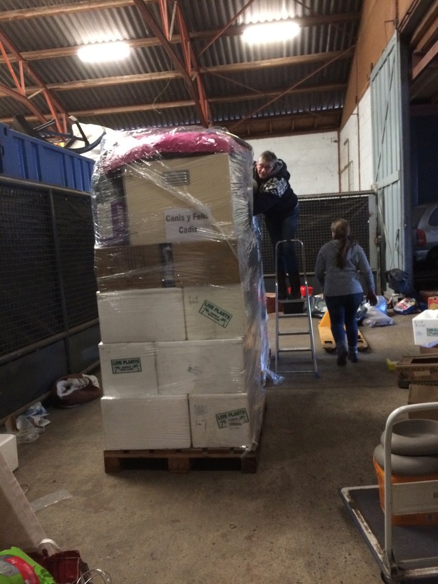 18 maart - Opbouwen pallets Img_6418