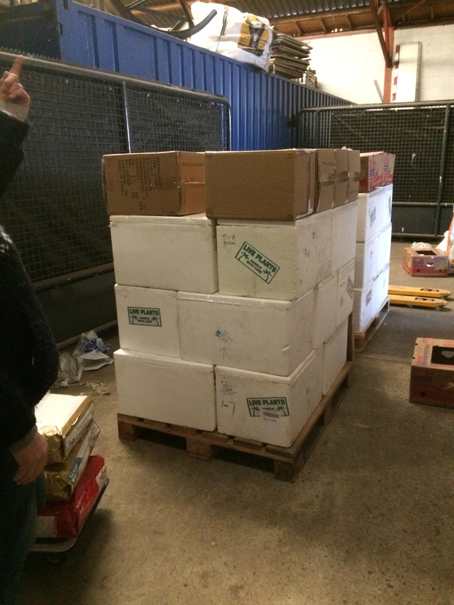 18 maart - Opbouwen pallets Img_6419