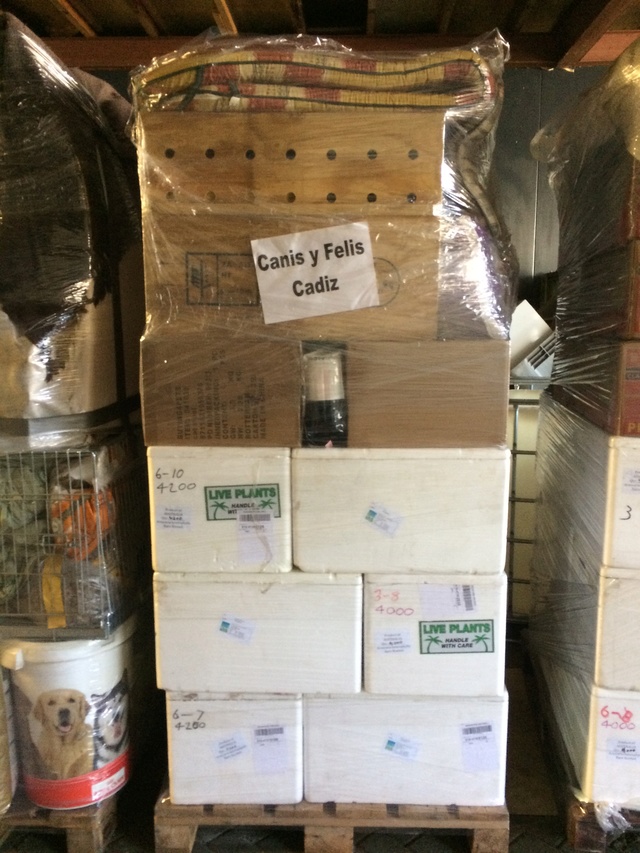 18 maart - Opbouwen pallets Img_6513