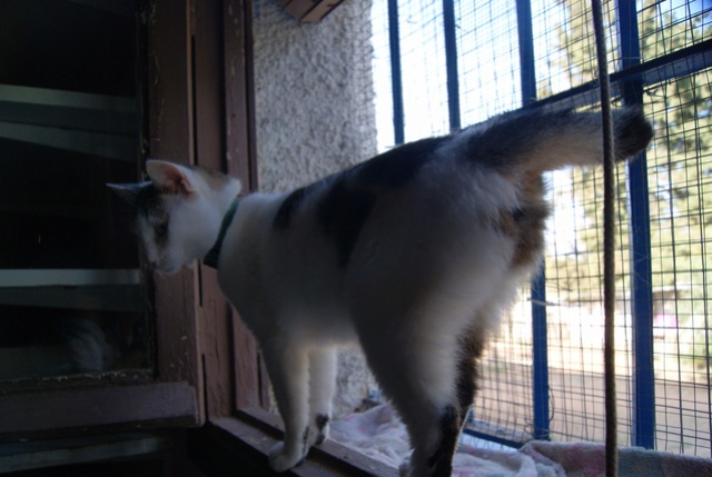 CA Peggy Peggy_13