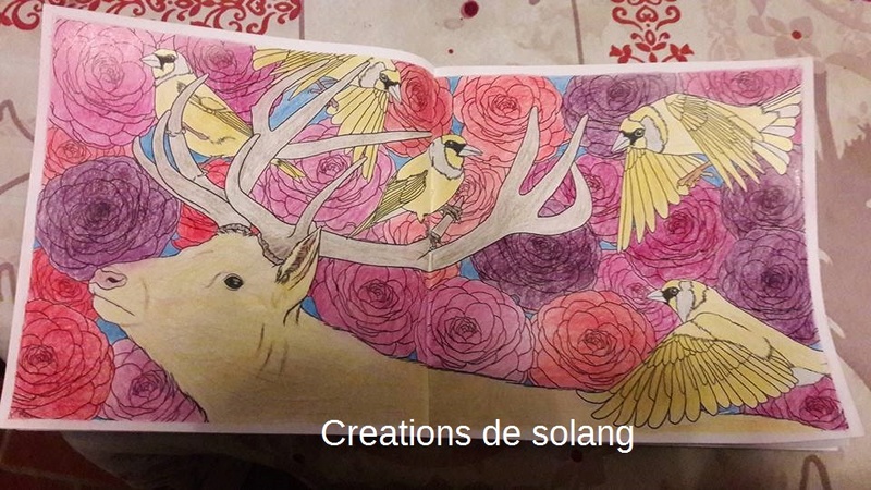 Mes coloriages (et dessins) 15941412