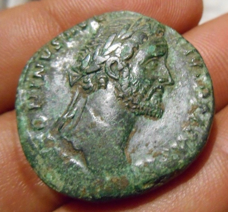 Luciliae Anton010