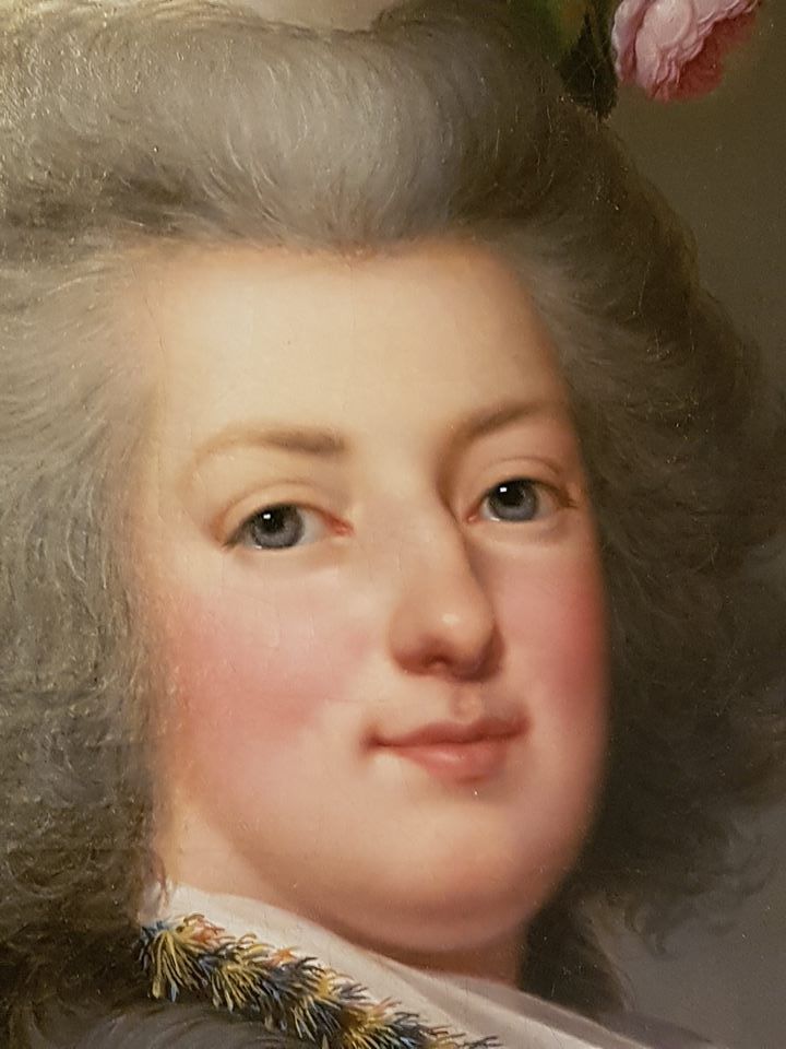 Marie Antoinette par Wertmüller - Portrait de 1788 - Page 2 Zzz110