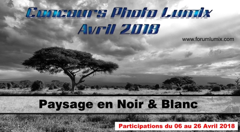 Concours Photos - AVRIL 2018 - Paysage en Noir & Blanc 18033111