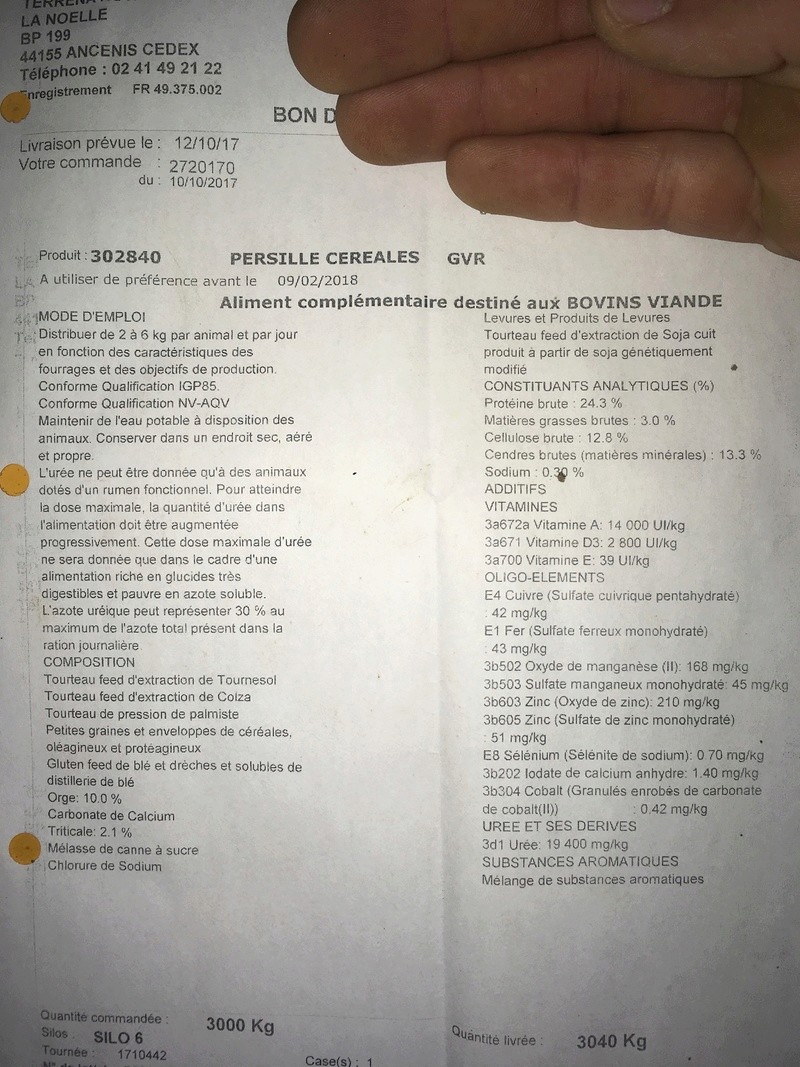 ration VA et génisse charolaise - Page 2 31d44a10