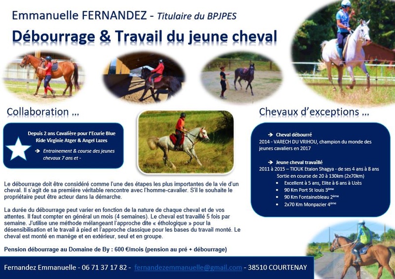 Débourrage et travail du jeune cheval  Dybour10