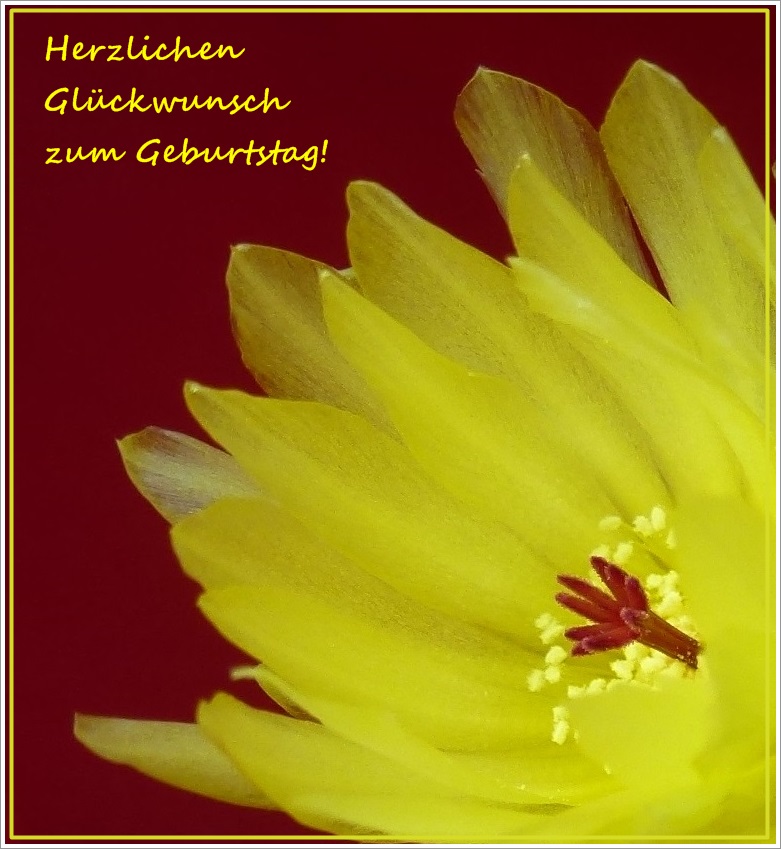 Kerstin hat Geburtstag!
