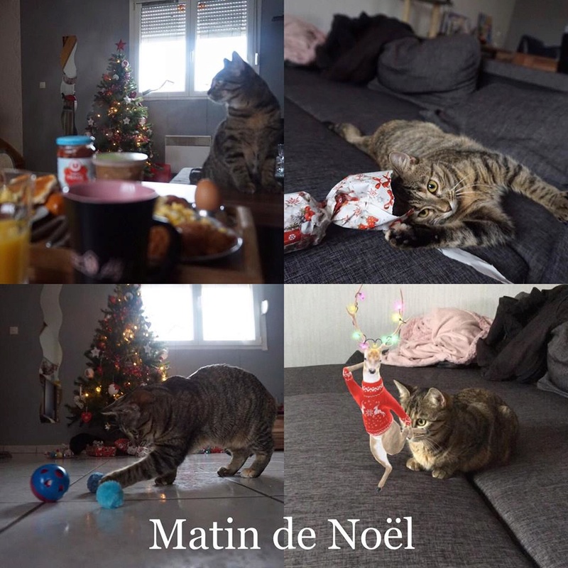 nuttela née début février 2017 - Page 2 26793310