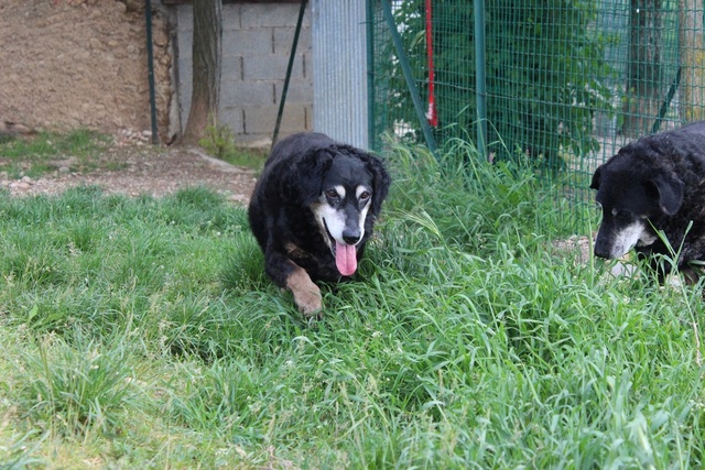 MASA et LOLA sont dans le sud (10 mai 2018) Img_0114