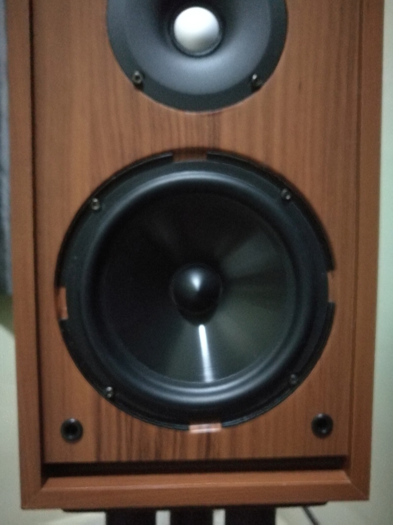 Hifi grade stereo speaker cabinet . Used Img_2019