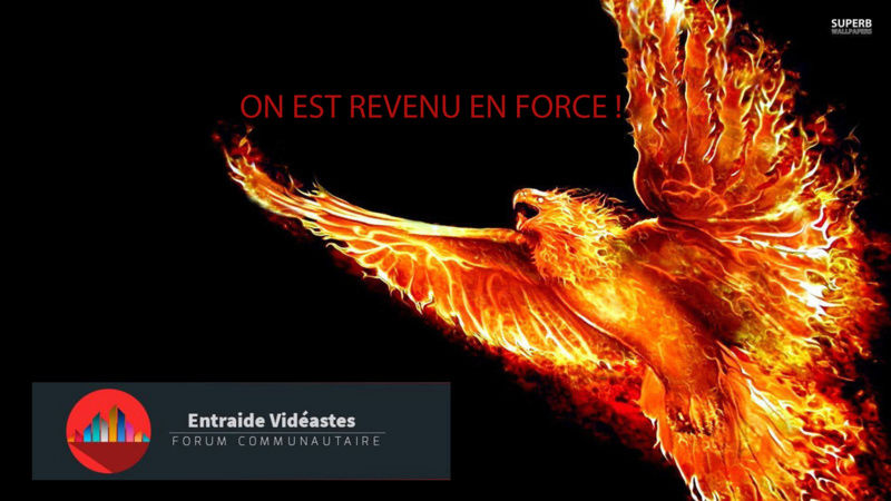 ★★★ Le Jeu de la Miniature #1 | La Renaissance du Forum - Page 3 Partic10